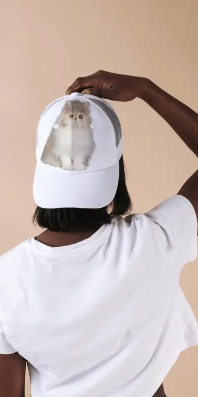 Pet Cap